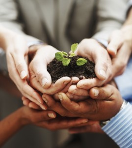 Many hands on a small tree