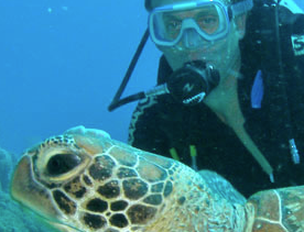 David_Wood_Scuba_Diving_with_Turtle_Square
